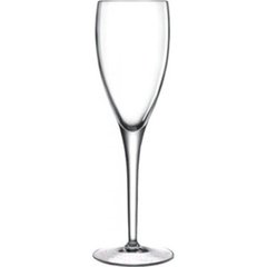 Бокал для шампанского Michelangelo Professional Line 190 мл A10283BR703AA02 LUIGI BORMIOLI